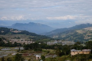 Yuanyang