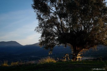 Spot bivouac d'un soir