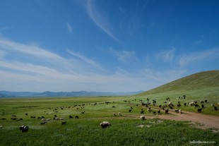 Khatgal J135 Mongolie