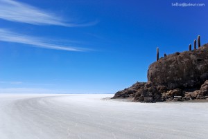 Isla del Pescado - Bolivie, Uyuni