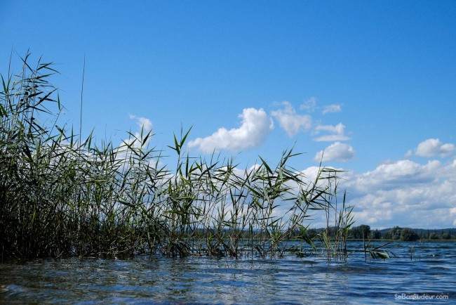 Lac de Constance