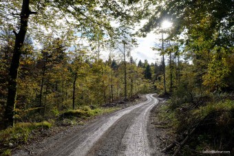 Première route gaouilleuse