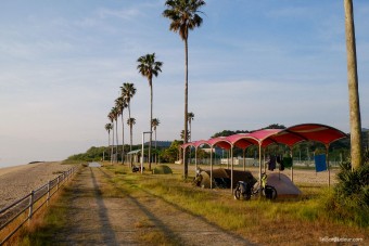 Bivouac en bord de plage, en compagnie de ...