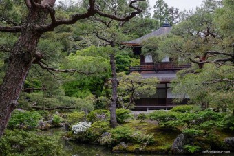 Kyoto : Ginkakuji