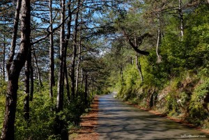 La route de la côte Istrie Sud