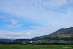 Planina